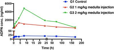 Paracrine Effects of Recombinant Human Adiponectin Promote Bone Regeneration